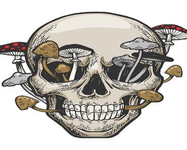 ধার করা বিদ্যার কতিপয় মুসিবত